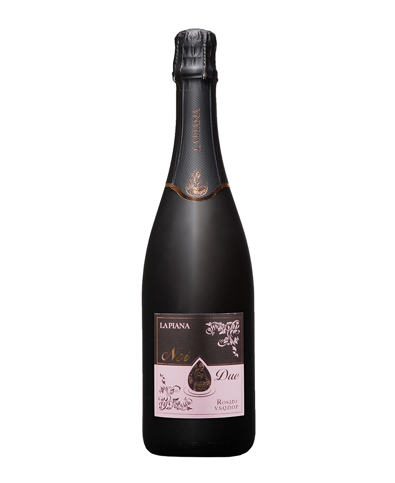 LAMBRUSCO GRASPAROSSA DI CASTELVETRO Noi DueM.M. BIO*/La Piana