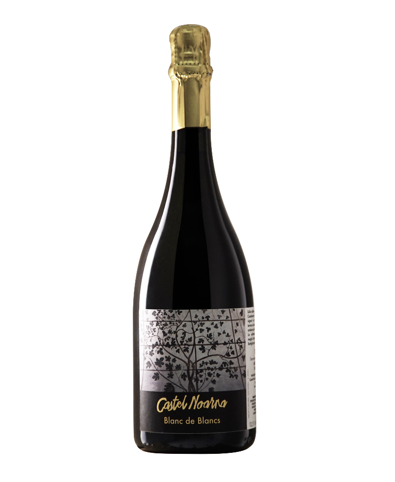 2017 TRENTO Blanc de Blancs Extra Brut BIO*/Castel Noarna