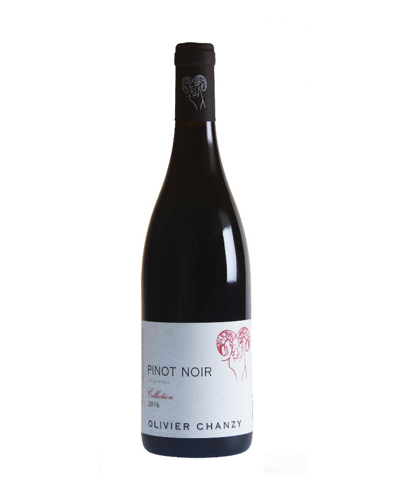 2021 PINOT NOIR Collection/Maison Chanzy