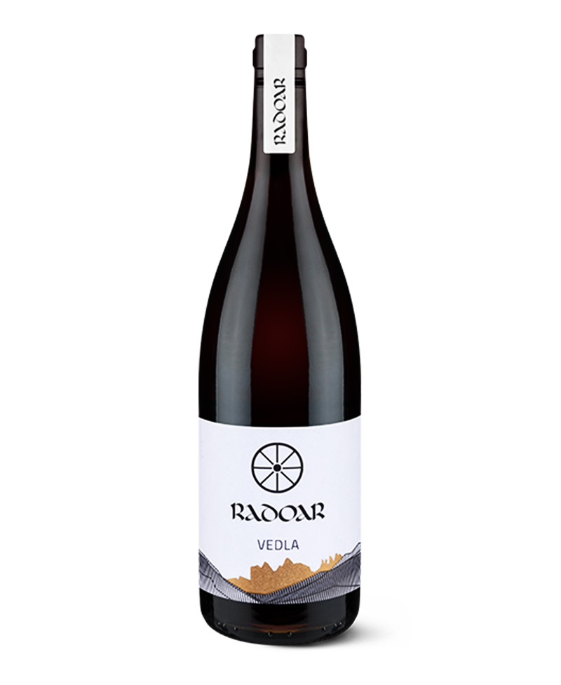 2019 PINOT NERO Vedla BIO*/Radoar