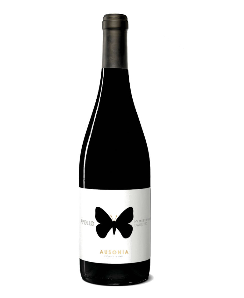 2019 Apollo MONTEPULCIANO D'ABRUZZO COLLINE TERAMANE BIO*/Ausonia