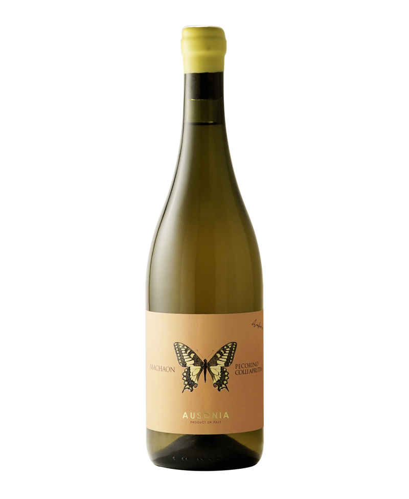 2022 Anfora Machaon PECORINO COLLI APRUTINI BIO*/Ausonia