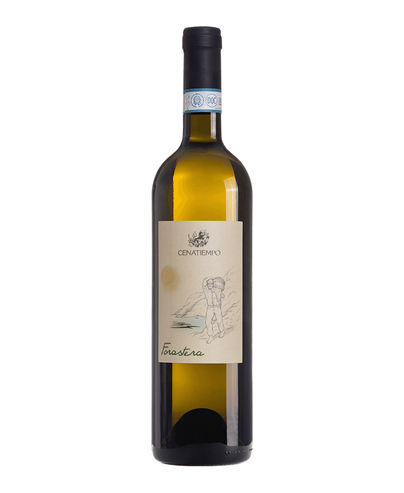 2022 FORASTERA ISCHIA/Cenatiempo