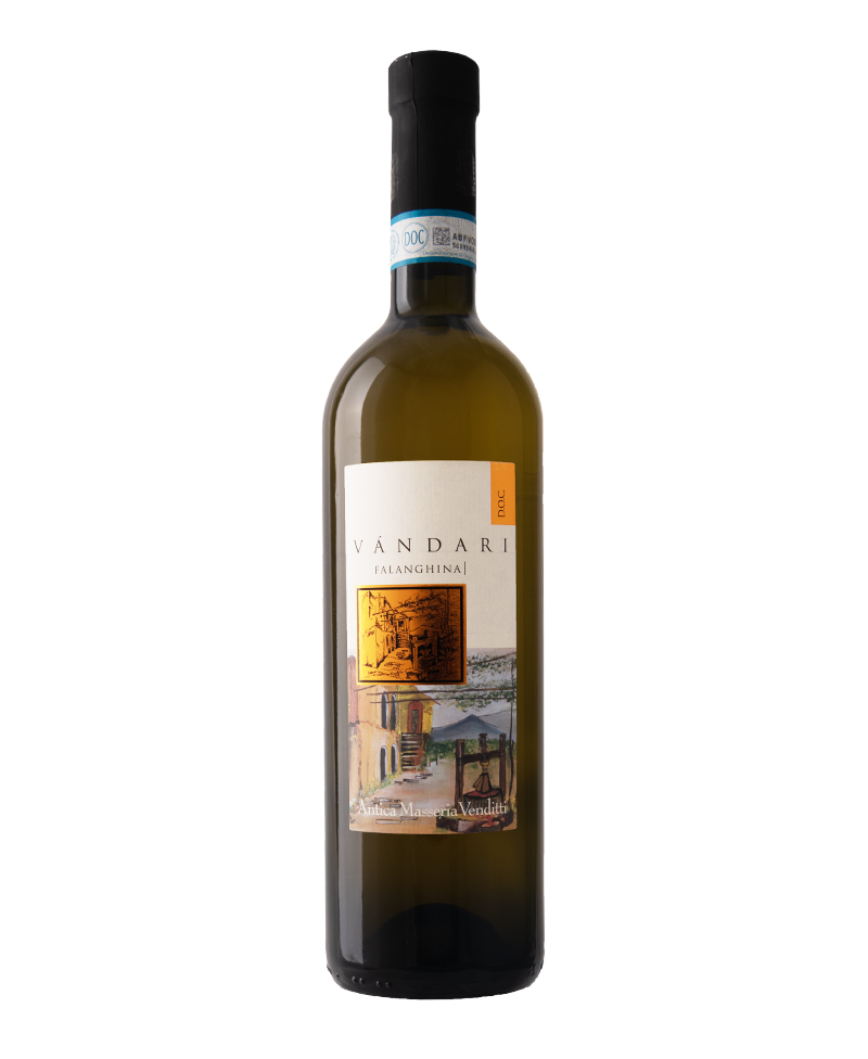2019 Vandari FALANGHINA SANNIO BIO*/Venditti