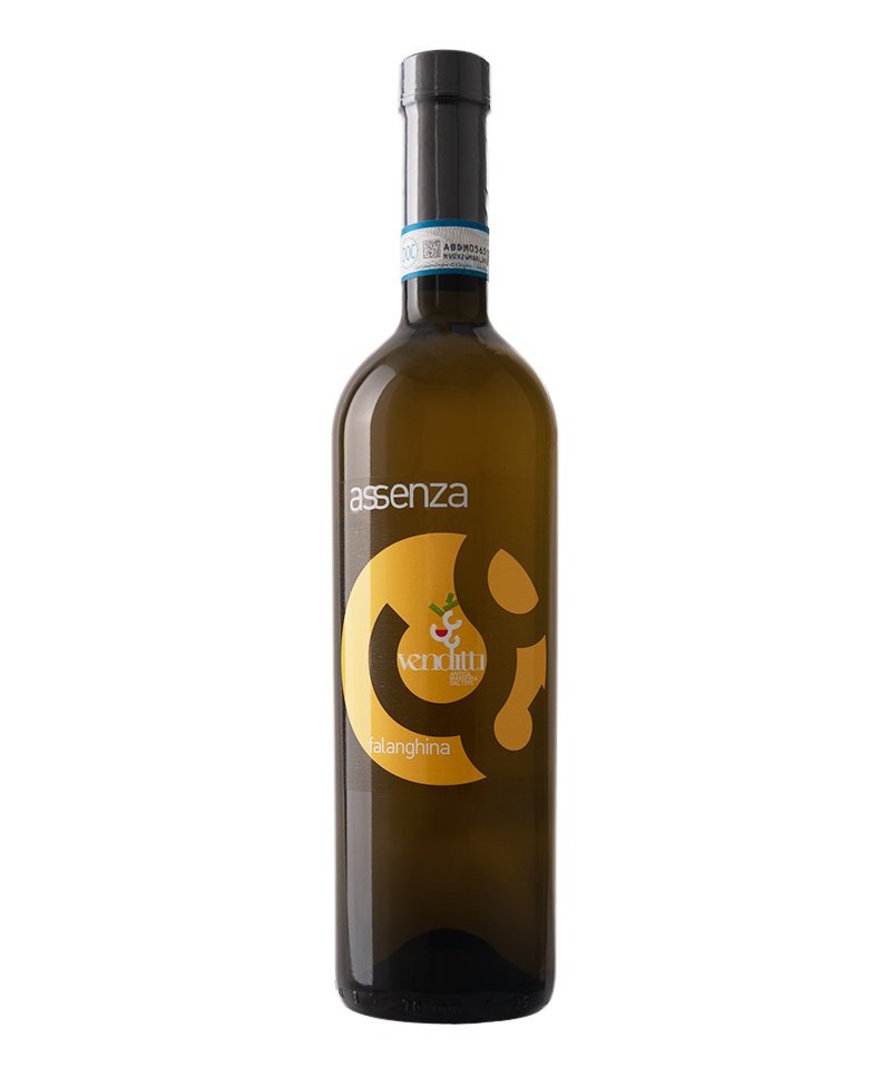 2019 Assenza FALANGHINA SANNIO BIO*/Venditti