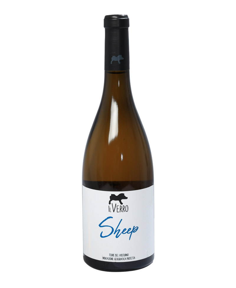 2021 CODA DI PECORA Sheep BIO*/Il Verro