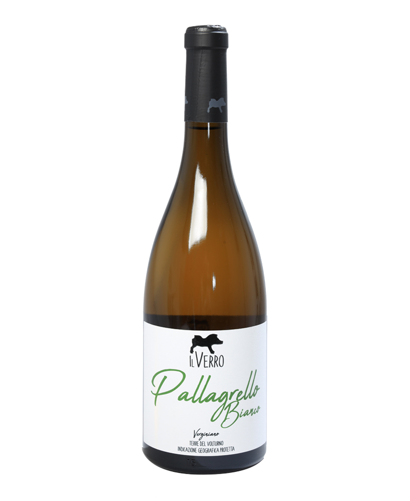 2022 PALLAGRELLO BIANCO Verginiano BIO*/Il Verro