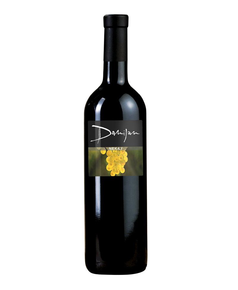 2019 NEKAJ/Damijan Podversic