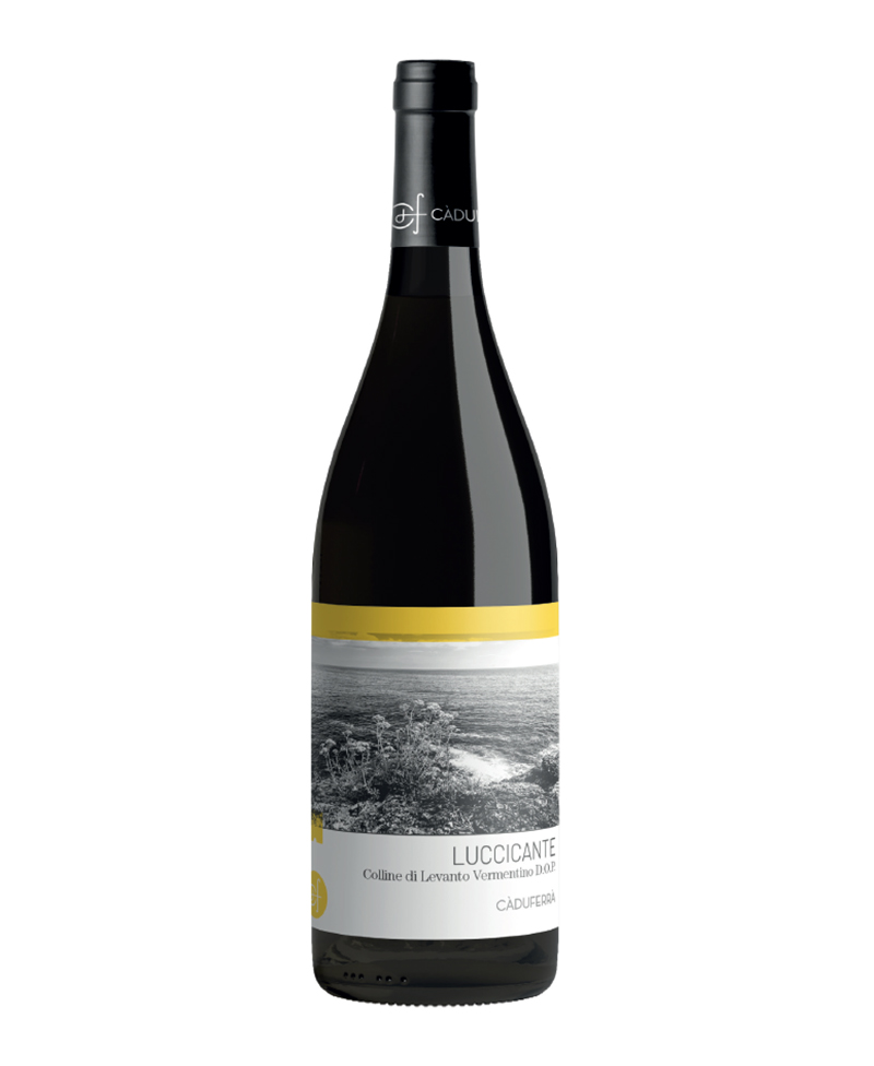 2022 LUCCICANTE VERMENTINO Colline di Levanto/Ca' du Ferra'