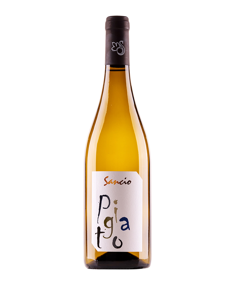 2022 PIGATO RIVIERA LIGURE PONENTE/Sancio