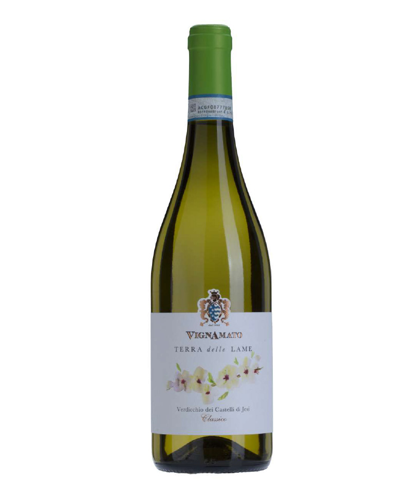 2022 Terra delle Lame VERDICCHIO CASTELLI DI  JESI CLASSICO Tappo Vite/Vignamato