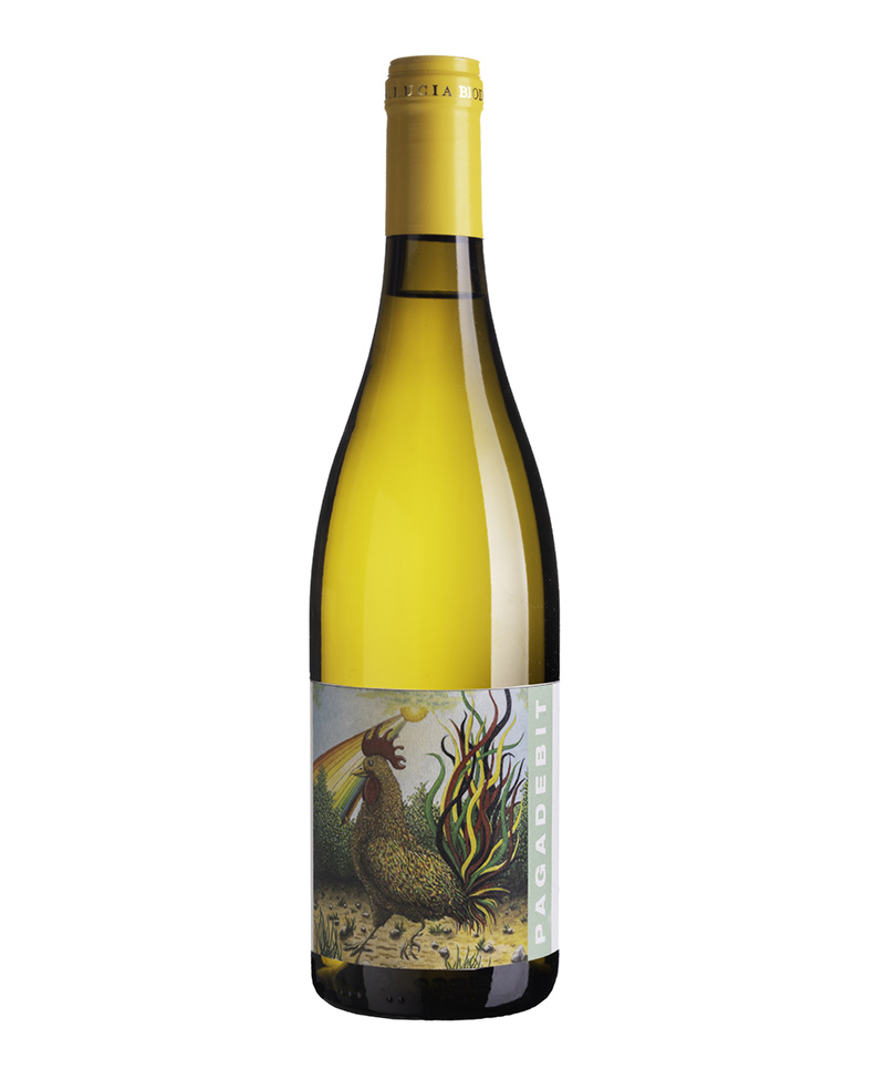 2022 PAGADEBIT DI ROMAGNA BIO*/Tenuta Santa Lucia