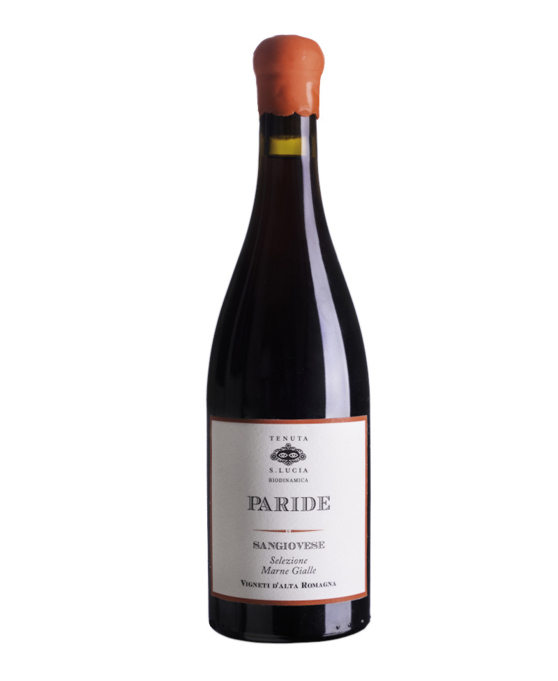 2020 SANGIOVESE Paride Marne Gialle BIO*/Tenuta Santa Lucia
