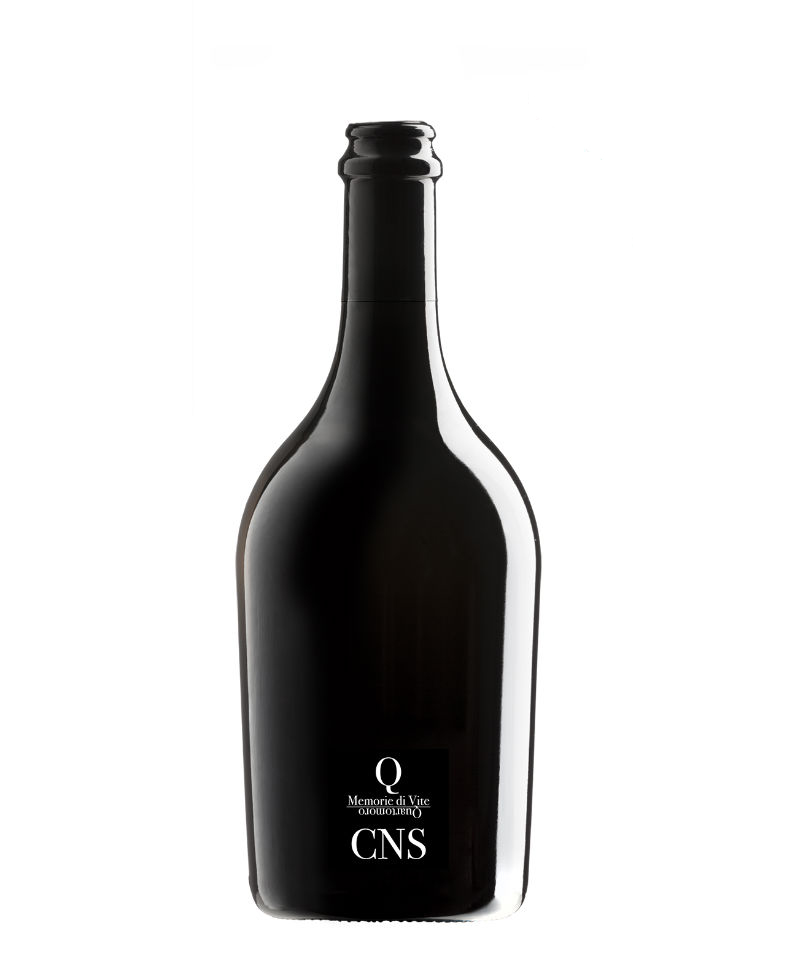 2019 CNS CANNONAU DI SARDEGNA/Quartomoro