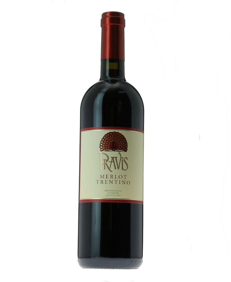 FC 2019 MERLOT/Pravis