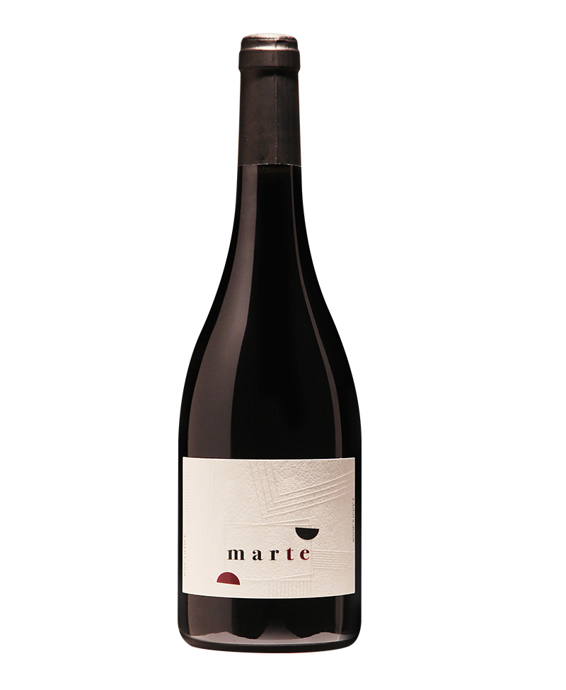 2021 MARTE/Salizzoni