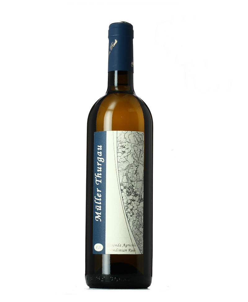 2019 MULLER THURGAU/Vindimian