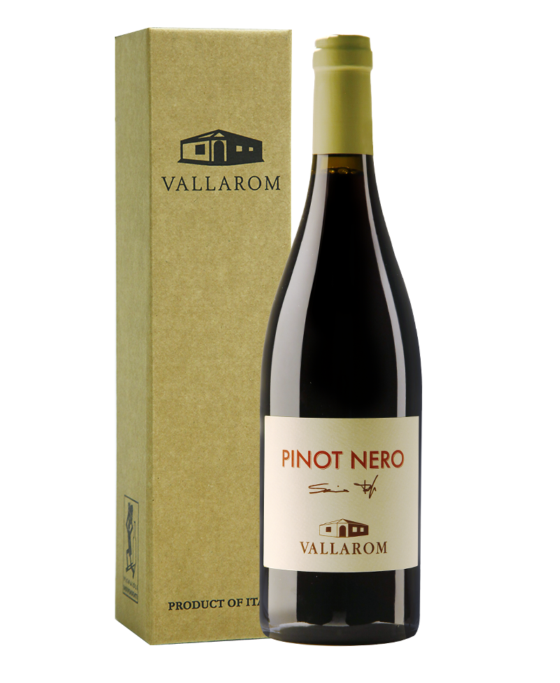 2020 PINOT NERO Filippo Scienza BIO*/Vallarom