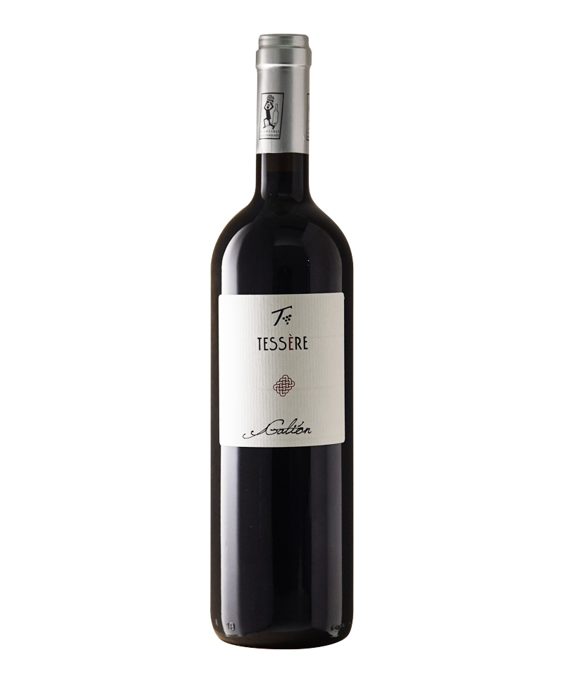 2021 MERLOT Galion BIO*/Tessere